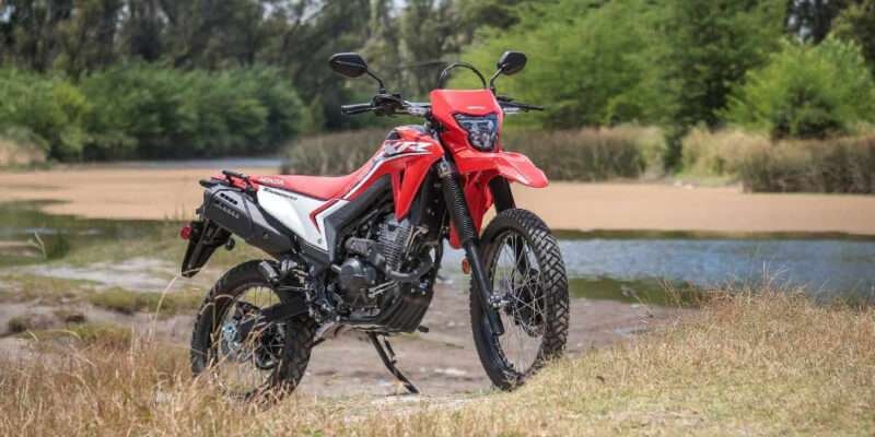 Honda XR 300 Tornado: la trail que desafía el terreno este 2025 1 Honda XR 300 Tornado Rally