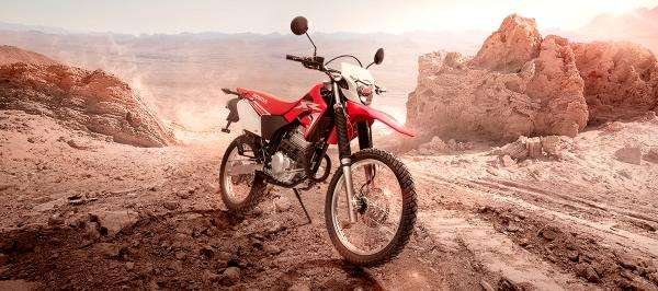 Ventas de motos en marzo 2025: Crecimiento y marcas destacadas 4 renovada tornado xr250 1